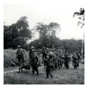 A patrol returning to base