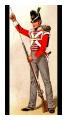 27th (Inniskilling) Regiment of Foot circa 1815