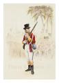 Adjutant, 83rd Regiment of Foot - Jamaica, Maroon War, 1795