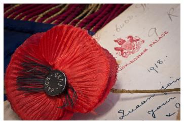 One of the first Haig Poppies circa 1921 One of the first Haig Poppies circa 1921