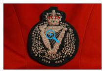 Blazer Badge - Royal Irish Regiment