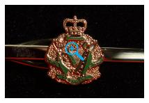 Tie Clip - Royal Irish Regiment
