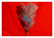 Hackle - Royal Inniskilling Fusiliers - Grey