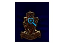 UDR 50th Anniversary Lapel Badge
