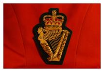 Blazer Badge - Ulster Defence Regiment