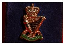 Lapel Badge - Royal Ulster Rifles