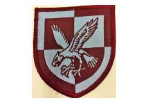 16 Air Assault Brigade Flash - No longer Worn