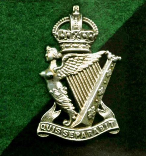 TRF  BADGE ROYAL IRISH REGIMENT SHAMROCK    RANGERS DZ BRITISH ARMY MTP